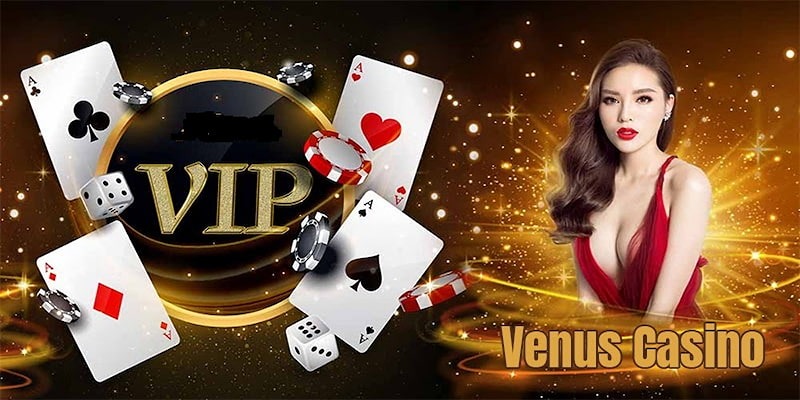 Giải mã sức hút của Venus Casino
